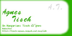 agnes tisch business card